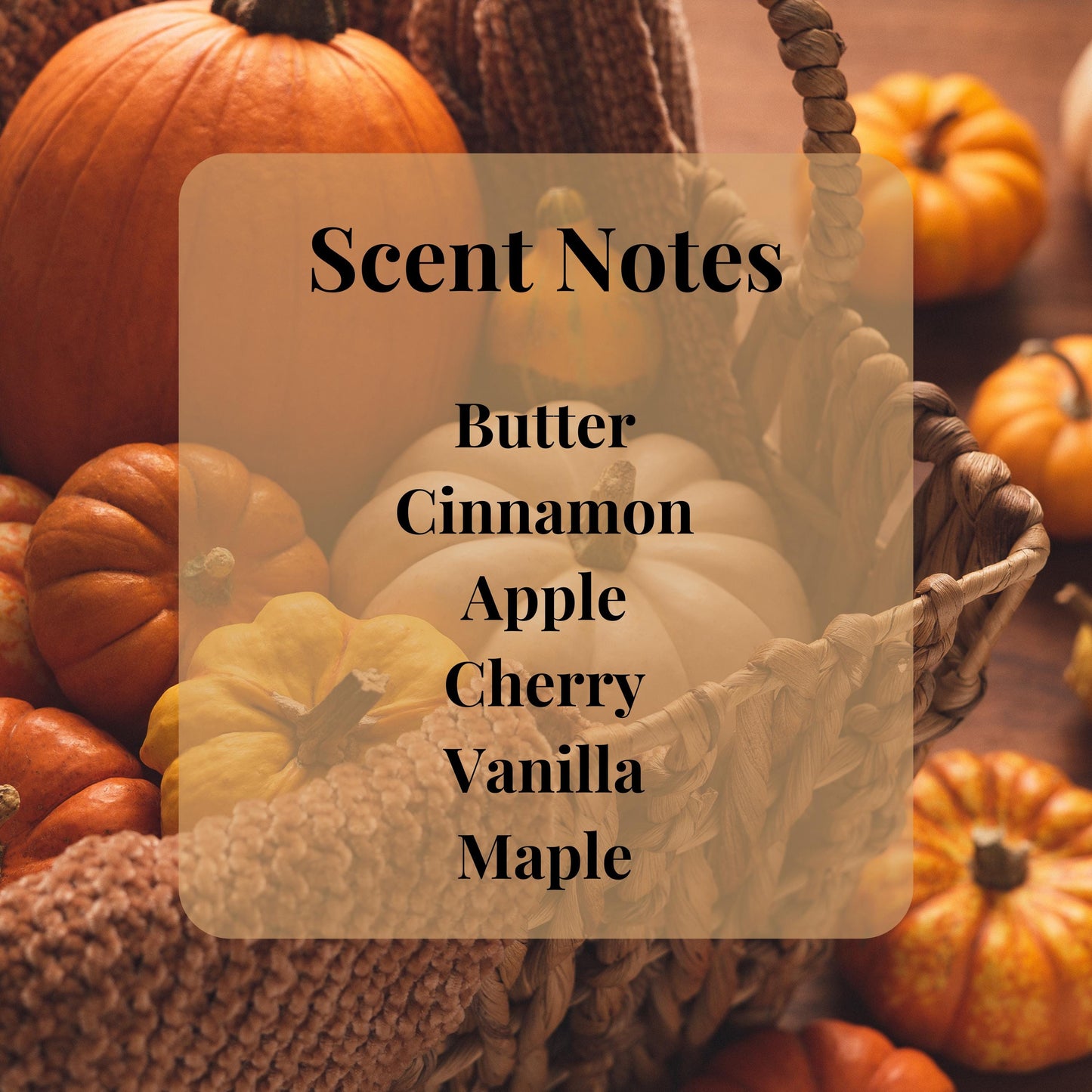 Pumpkins and Prose Book Candle | 7 oz Soy Candle